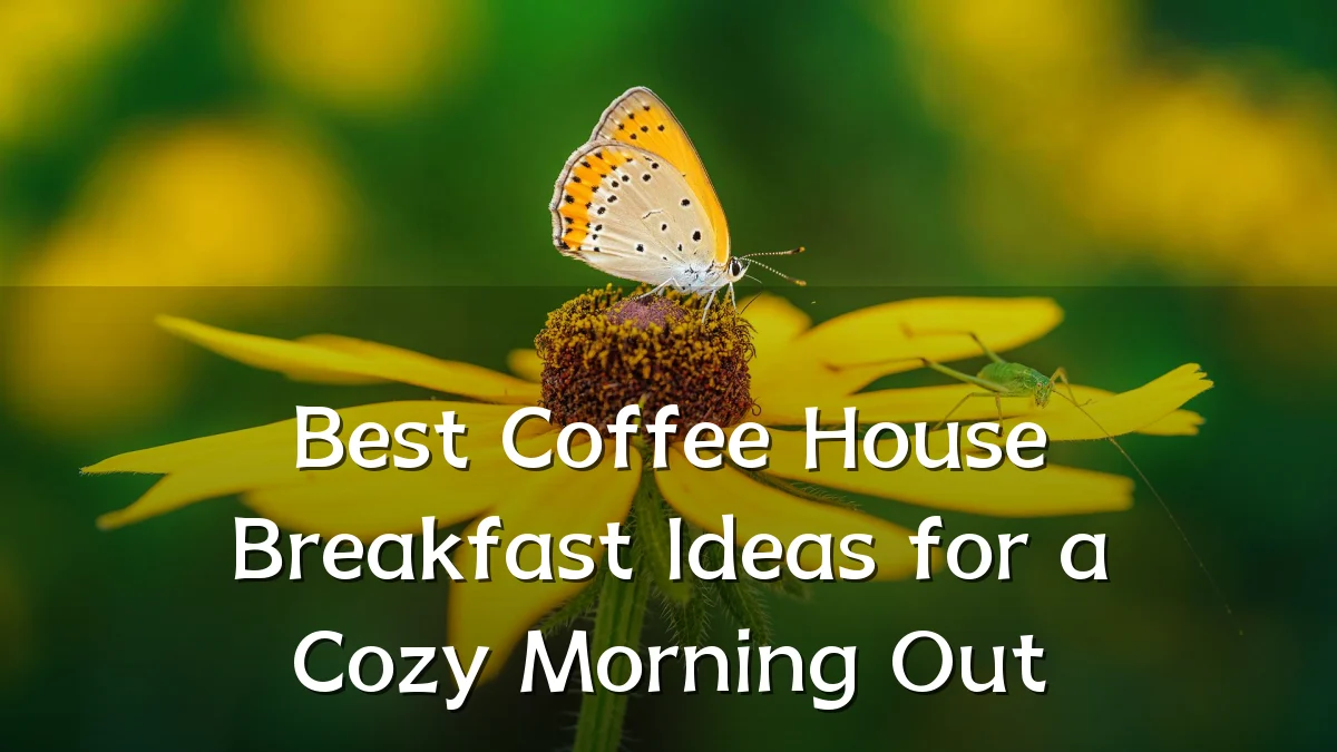 Best Coffee House Breakfast Ideas for a Cozy Morning Out