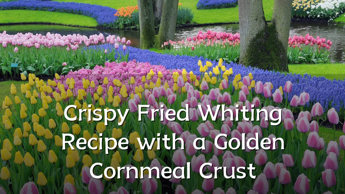 Crispy Fried Whiting Recipe with a Golden Cornmeal Crust