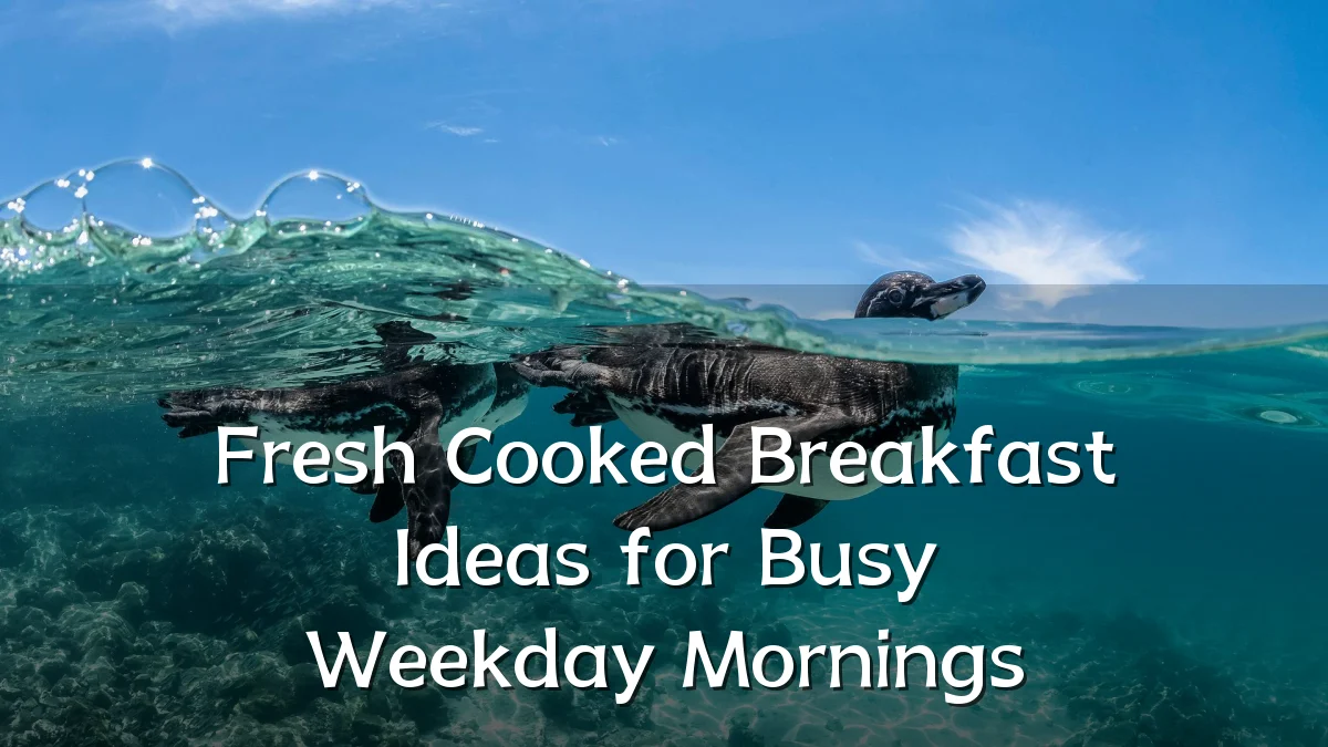 Fresh Cooked Breakfast Ideas for Busy Weekday Mornings