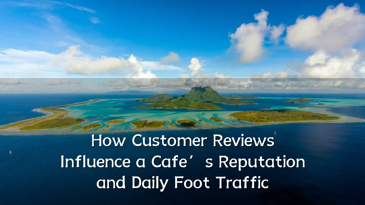 How Customer Reviews Influence a Cafe’s Reputation and Daily Foot Traffic