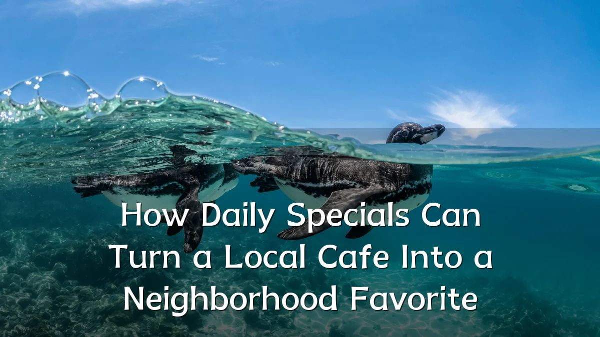 How Daily Specials Can Turn a Local Cafe Into a Neighborhood Favorite