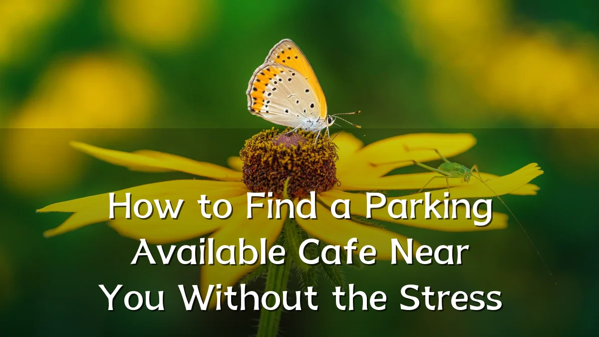 How to Find a Parking Available Cafe Near You Without the Stress