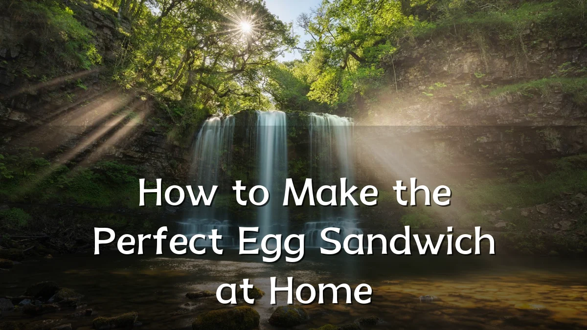 How to Make the Perfect Egg Sandwich at Home
