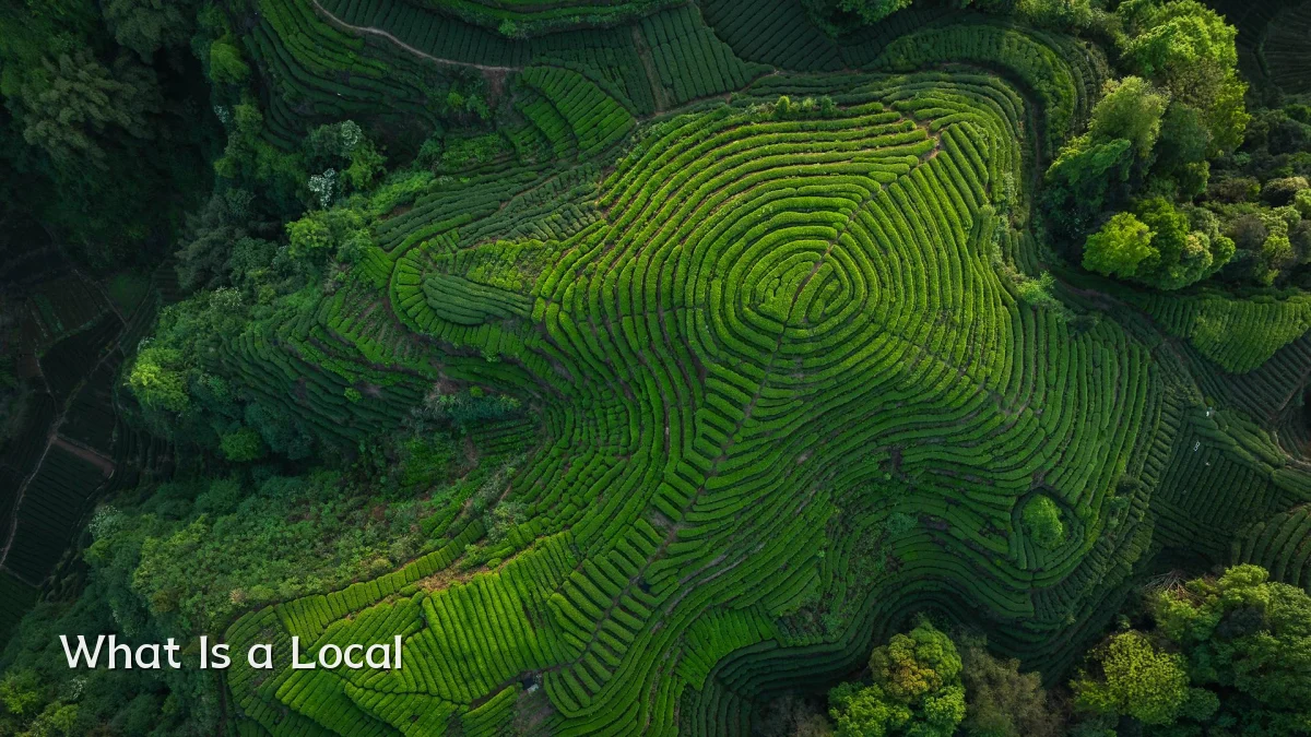 What Is a Local