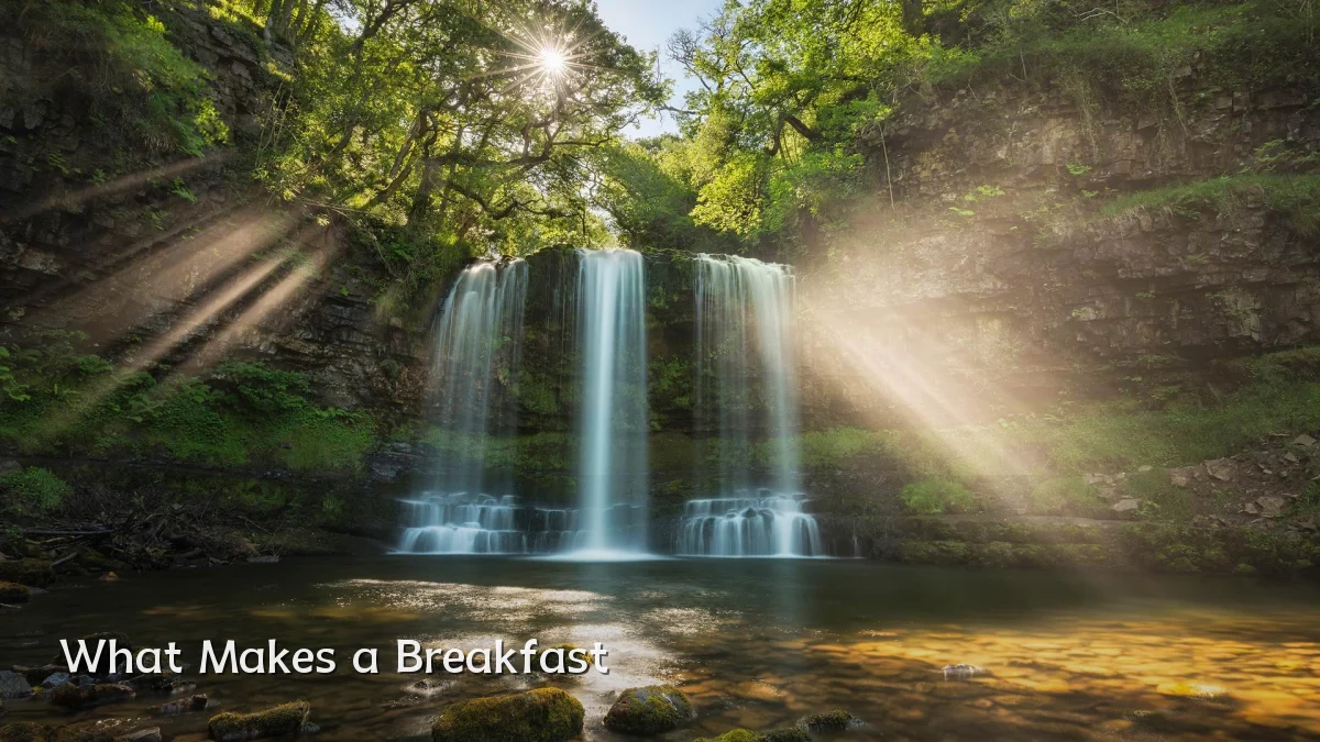 What Makes a Breakfast