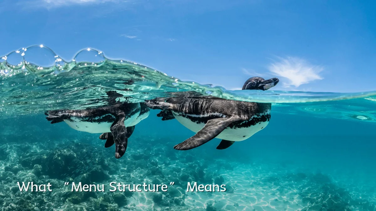 What “Menu Structure” Means