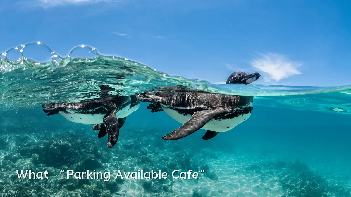 What “Parking Available Cafe”
