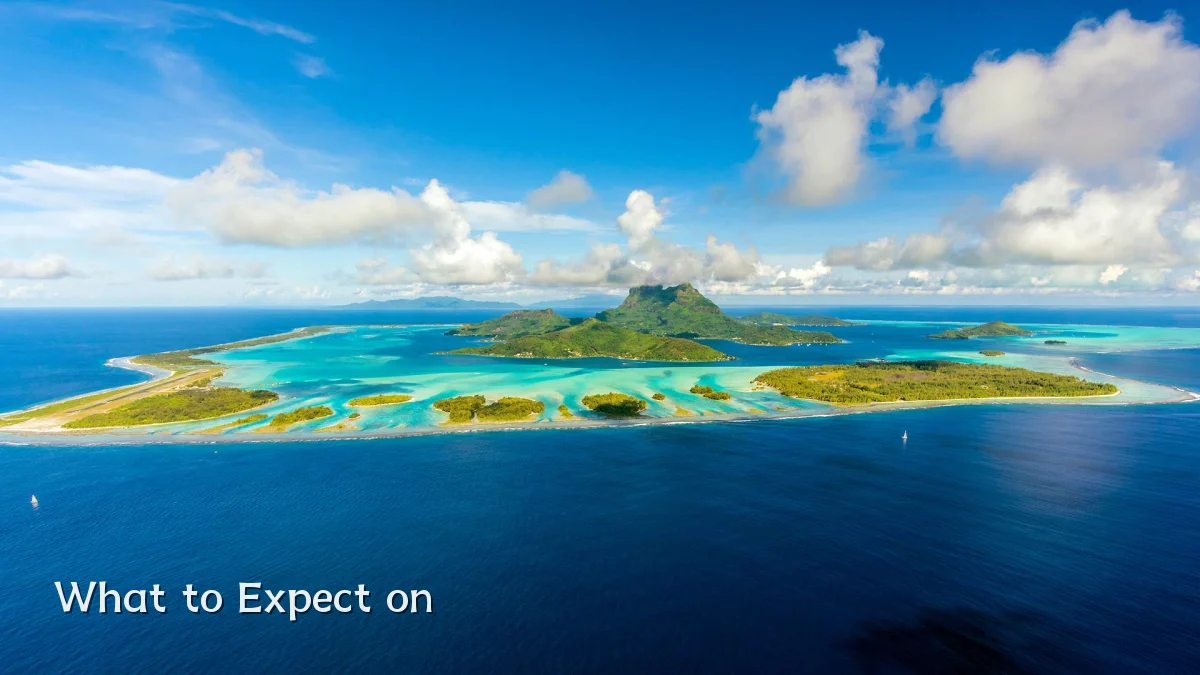 What to Expect on