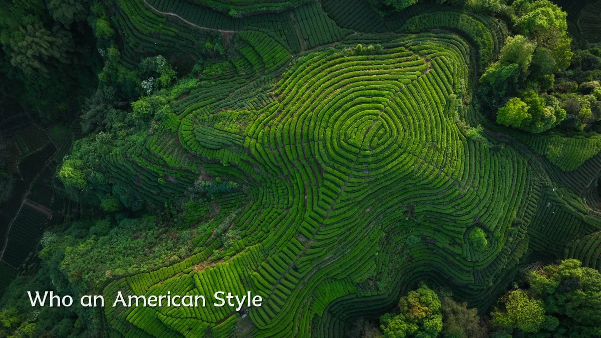 Who an American Style