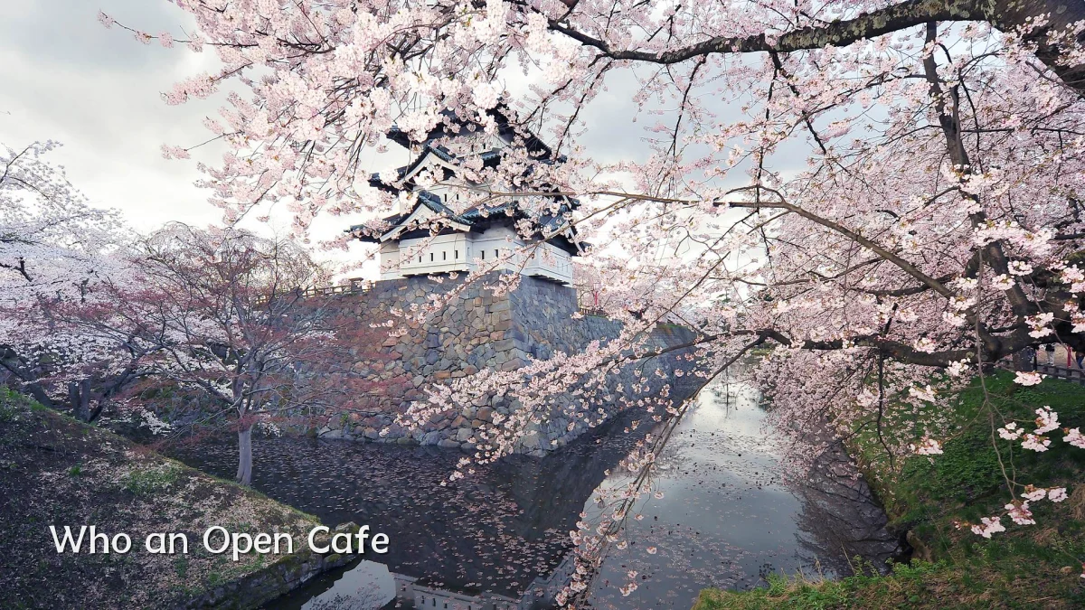 Who an Open Cafe