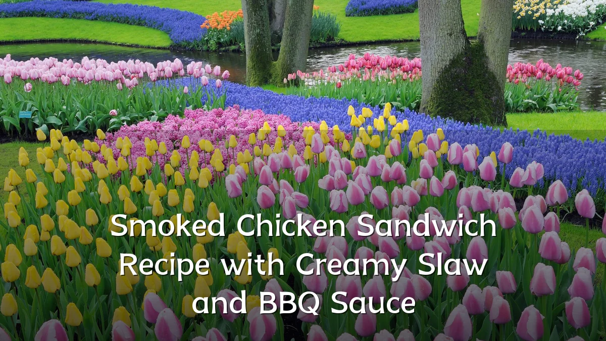 Smoked Chicken Sandwich Recipe with Creamy Slaw and BBQ Sauce