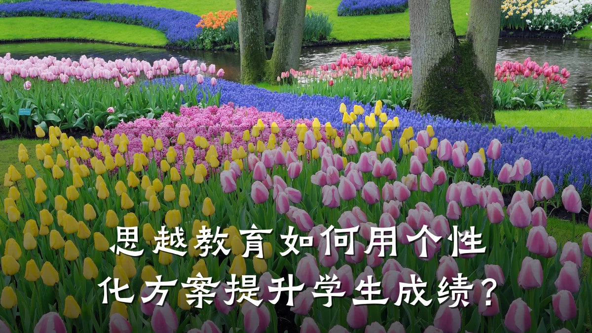 思越教育如何用个性化方案提升学生成绩?
